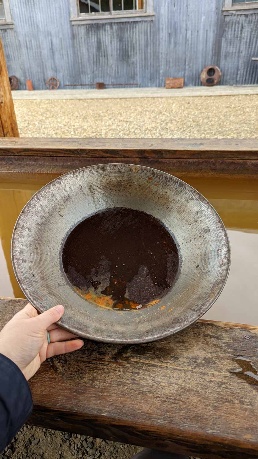 Gold Panning